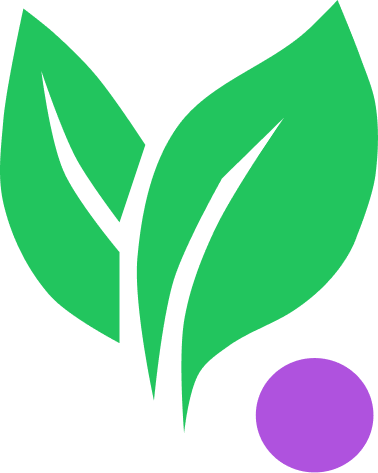 Senior Software Developer